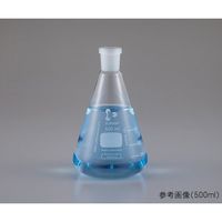 DWK Life Sciences NS共通摺合三角フラスコ 250mL 241933607 1個 1-8407-09（直送品）