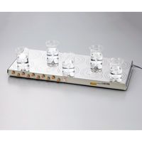 アズワン 10連式マグネチックスターラー HS-400 1台 1-3099-01（直送品）