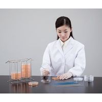 アズワン ディスポスティック 10μL γ線滅菌済 1箱(10本×50袋入) DS-2 1箱(500本) 1-4633-12（直送品）