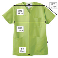 フォーク カラースクラブ ライム L BAS-001 1枚　スクラブ オリジナル