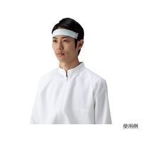 三高サプライ 汗取りバンド アセステ 1袋(100枚入) MO11 1袋(100枚) 1-4964-01（直送品）