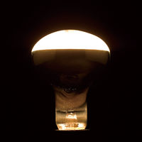 レフ電球100W形 長寿命 RF100110V90WL 1箱（10個入） ヤザワコーポレーション