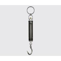 アズワン ばね式手秤(検定なし) 1-6192-07 1台（直送品）