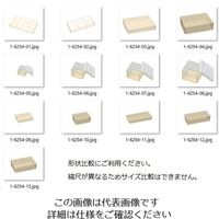 蝶プラ工業 持続性透明帯電防止ケース EBS1 1-6254-04 1個