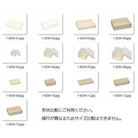 蝶プラ工業 持続性透明帯電防止ケース EBR3F 781422 1個 1-6254-10（直送品）