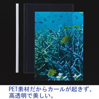 アスクル レール式クリアーホルダーPET 20枚とじ青 A4タテ BPA-RCPB 1袋（100冊）  オリジナル