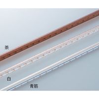 アズワン 平面自動ビュレット PTFEコック付 青筋(本体のみ) 50mL 1-8581-09 1本（直送品）