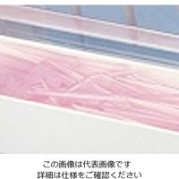 ニチリョー チップ (ジャスターDG・可変式連続分注器用) 1000本入 TSチップ 1袋(1000本) 2-379-06（直送品）