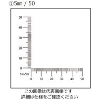 アズワン マイクロスケール 1箱（10枚） 2-6997-01（直送品）