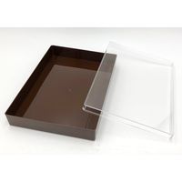 三宝化成 スチロール角型ケース 12型 5個 270×190×51mm 5-066-12 1箱(5個)（直送品）