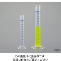 アズワン EMユーロメスシリンダー 25mL 5-5360-02 1個（直送品）