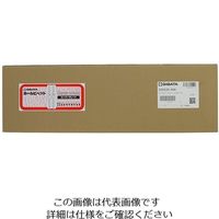 アズワン ホールピペット スーパーグレード40mL 6-279-19 1本（直送品）