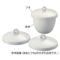 タキシン 磁製ルツボB型 本体 155mL 6-564-06 1個（直送品）