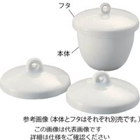 タキシン 磁製ルツボB型 本体 30mL 6-564-03 1個