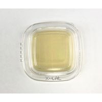 極東製薬工業 細菌検出用培地 DDチェッカー (XーGAL寒天)1ケース(20枚×2箱入) 04220 1ケース(40枚)（直送品）