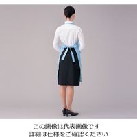 ショーワグローブ 制電エプロン A0210 1枚(1着) 7-651-02