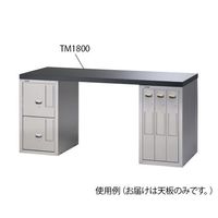 アズワン セフティキャビネット用天板 TM1200 1枚 1-1608-01（直送品）