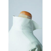 セロリー（Selery） 長袖ブラウス ホワイト 13号 S-36508 1着（直送品）