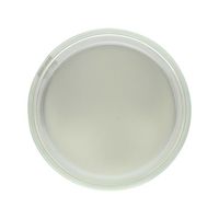 柴田科学 ガラスろ過器(円筒ロート形)140mL 16~40μm 17GP 1個 1-4384-05（直送品）