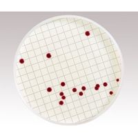 メルク アンプル培地 (一般生菌用/TCC添加)1箱(50枚入) MHA00P2TT 1箱(50枚) 2-7522-03（直送品）