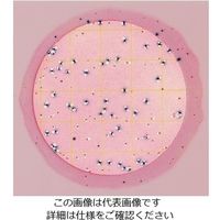 ネオジェンジャパン ペトリフィルム(TM)培地 (E.coli及び大腸菌群数測定用/25枚×2袋) 6404EC 1箱(50枚)（直送品）