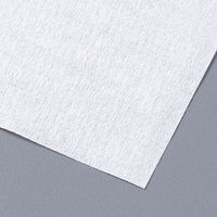 ペーパータオル（レギュラーサイズ） アスクル（イチオシ） オリジナル