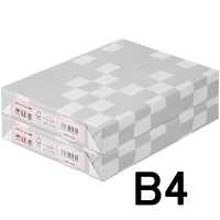 アスクル カラーペーパーB4 ライトピンク 1セット（500枚×2冊入）  オリジナル