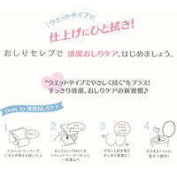 王子ネピア　おしりセレブウェット薬用お出かけ用　831176　1個（12枚入）