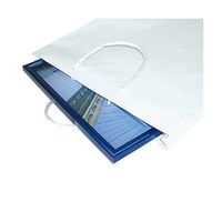 菅公工業　額縁手提袋　白　A3　10枚　ベ584  1パック10枚入（直送品）