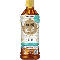 ポッカサッポロ かごしま知覧紅茶無糖 500ml 1箱（24本入）