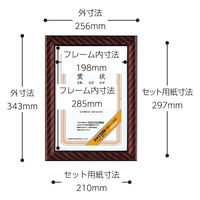 コクヨ 賞状額縁（金ラック） 規格A4 カ-RA4 1セット（5枚）