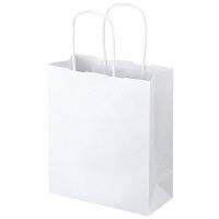 丸紐 クラフト紙手提袋ベーシック 200×240×90 白 1袋（50枚入）  オリジナル