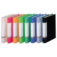 リヒトラブ　クリヤーブック　A4タテ　40ポケット　アソートパック　1箱（10冊入）  オリジナル