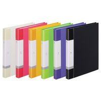 クリヤーブック 差し替え式 30穴 A4タテ 15ポケット 背幅25mm 10冊 6色アソート リヒトラブ  オリジナル