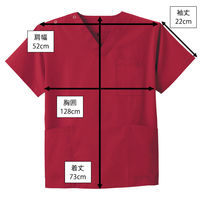 ディーフェイズ スクラブ DS2001 1枚　スクラブ（直送品）