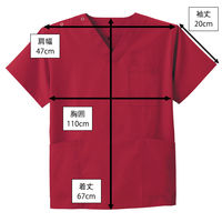 ディーフェイズ スクラブ DS2001 1枚　スクラブ（直送品）