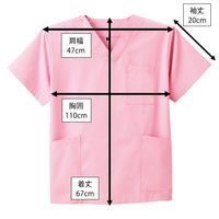 ディーフェイズ スクラブ DS2001 1枚　スクラブ（直送品）