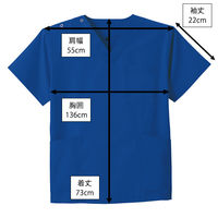 ディーフェイズ スクラブ DS2001 1枚　スクラブ（直送品）