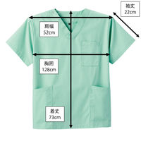 ディーフェイズ スクラブ DS2001 1枚　スクラブ（直送品）