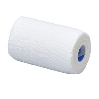 ニチバン セラオビ 75mm×5m（伸長時） No.755　1箱（10巻入）