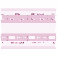 日油技研工業 滅菌バッグギャゼットタイプ 幅250mm×マチ幅70mm×長さ100m TS-5005 1巻