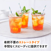 片岡物産 トワイニング リキッドティー アールグレイ 1L 1箱（6本入）