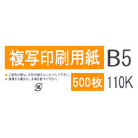 リコー　複写機・軽印刷機対応印刷用紙（コピー用紙厚口）　B5　110K　901570　1冊（500枚入）