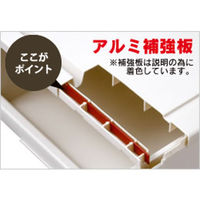 天馬 通販用 フィッツユニットケースL 4423 4904746644589 1箱(2個入)