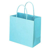 レザートーン手提袋　丸紐　アクアブルー　L　1セット（50枚：10枚入×5袋）　スーパーバッグ  オリジナル