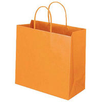 レザートーン手提袋　丸紐　マンダリン　M　1箱（300枚：10枚入×30袋）　スーパーバッグ  オリジナル