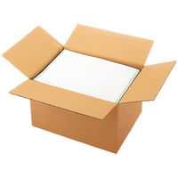 【底面B4ワイド】【100サイズ】　無地ダンボール　B4ワイド×高さ255mm　M-2　1梱包（10枚入）