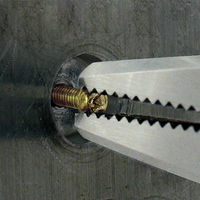 【手工具】エンジニア　ネジザウルスZ　PZ-60　ねじプライヤ　ラジオペンチ　1個