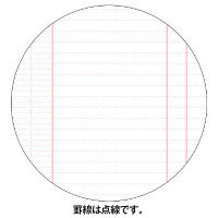 小林クリエイト 歯科診療録2号紙（B5サイズ） 赤色 2-B5AK 1袋（100枚入）