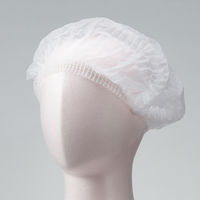 アズワン ヘアーキャップ キャタピラーセット 100枚入 2-5792-11 1セット(500枚:100枚×5箱)